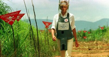 Princess Diana was dubbed a 'loose cannon' for her controversial landmine trip to Angola - but she enacted a landmark global policy change