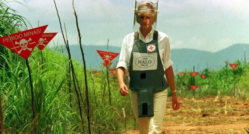 Princess Diana was dubbed a 'loose cannon' for her controversial landmine trip to Angola - but she enacted a landmark global policy change