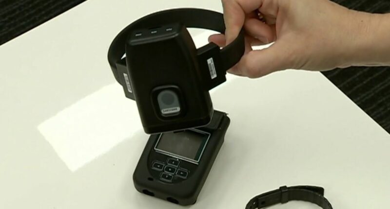 Queensland government's ankle monitor plan met with criticism