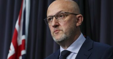 ASIO Director-General of Security Mike Burgess during a press conference following a shooting at Bondi, at Parliament House in Canberra on Sunday 14 December 2025.