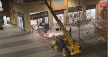 Ram-raiding thugs terrorising Britain and police forces are powerless