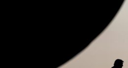 Read what France's Macron and the head of NATO are saying to Trump behind the scenes