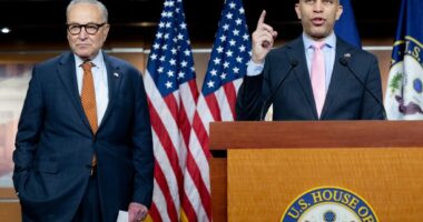 Readers sound off on DHS funding, Minnesota’s Democrats and supporting nurses