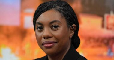 Reform may have already hit peak popularity, polls expert suggests