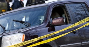 Renee Good was shot four times, including in the head, fire report shows