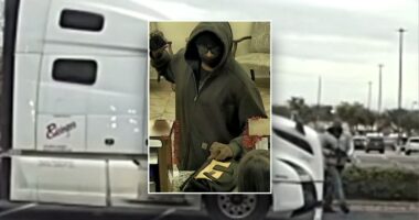 Repeat offender truck driver charged with bank robbery after claiming C-4 explosives, firing on officers: feds