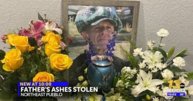 'Return my father's ashes': Thieves took cancer patient's remains from daughter's home and nothing else in targeted break-in, cops say