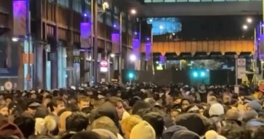 Reveller reveals what it's really like at London NYE fireworks