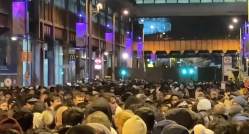 Reveller reveals what it's really like at London NYE fireworks