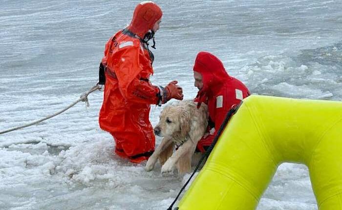 Rhode Island firefighters rescue a yellow Lab from an icy pond on New Year's Day