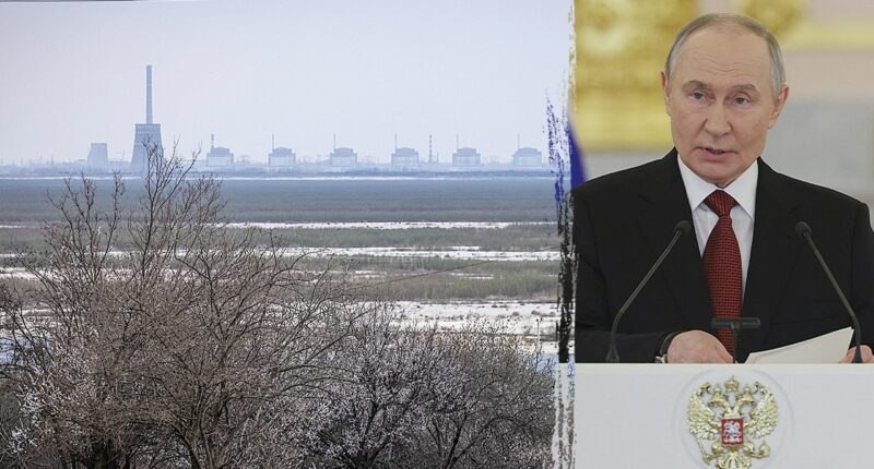 Russia plots major strike on Europe's largest nuclear plant power lines: source