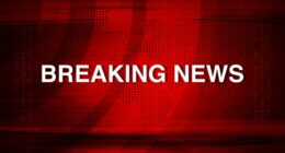 Russian court sentences an American to 5 years on charges of illegally transporting arms