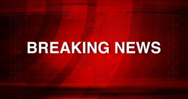 Russian court sentences an American to 5 years on charges of illegally transporting arms