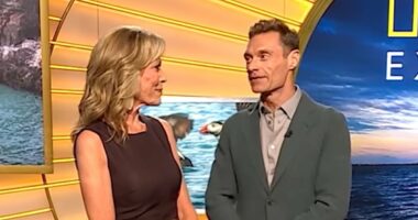 Ryan Seacrest concerns fans with gaunt face on Wheel Of Fortune