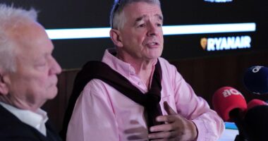 Ryanair CEO on Elon Musk: "I suspect he's a bigger idiot than me"