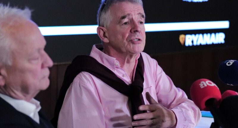 Ryanair CEO on Elon Musk: "I suspect he's a bigger idiot than me"