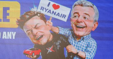 Ryanair's Michael O'Leary goads Elon Musk with 'Big "Idiot" Sale' as pair continue to trade insults after Tesla boss called for him to be sacked for refusing to use Starlink on flights