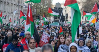 STEPHEN POLLARD: There's a direct link from the anti-Semitic chants on Britain's streets and the Bondi murders