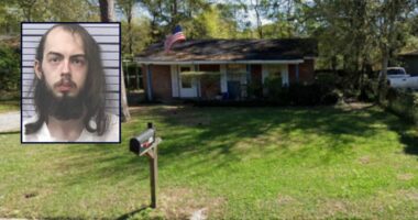 'Saw something on the ground': Son repeatedly stabbed father to death in front yard as grandmother watched, authorities say