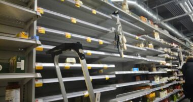 'Scared' New Yorkers brave icy temperatures for Whole Foods panic buys