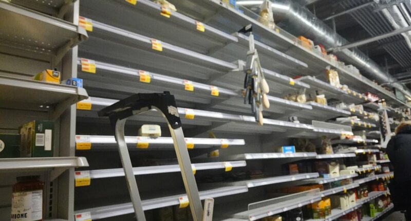 'Scared' New Yorkers brave icy temperatures for Whole Foods panic buys