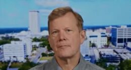 Schweizer: 'The Bottom Line Is Birthright Citizenship Needs to End'