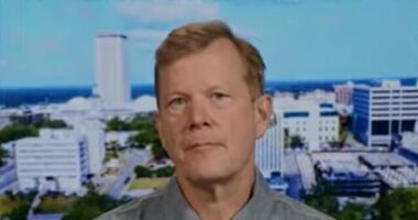 Schweizer: 'The Bottom Line Is Birthright Citizenship Needs to End'