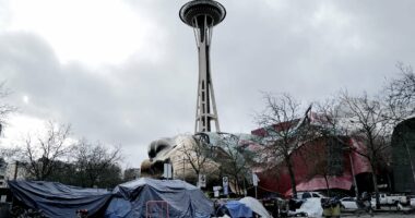 Seattle addicts hail new mayor 'who'll let them shoot up in streets'