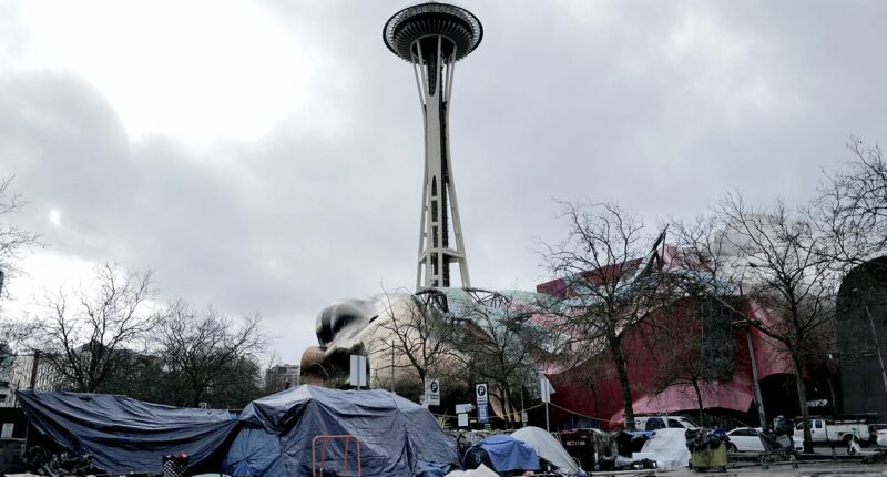 Seattle addicts hail new mayor 'who'll let them shoot up in streets'