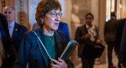 Sen. Susan Collins announces end to ICE large-scale operations in Maine after talks with Noem