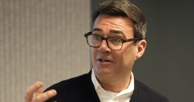 Shamed MP confirms he WILL quit Commons