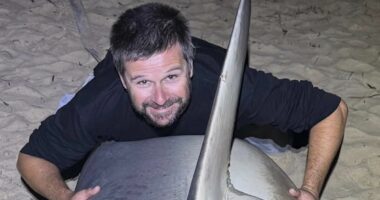 Shark expert vows to break the law and hunt sharks