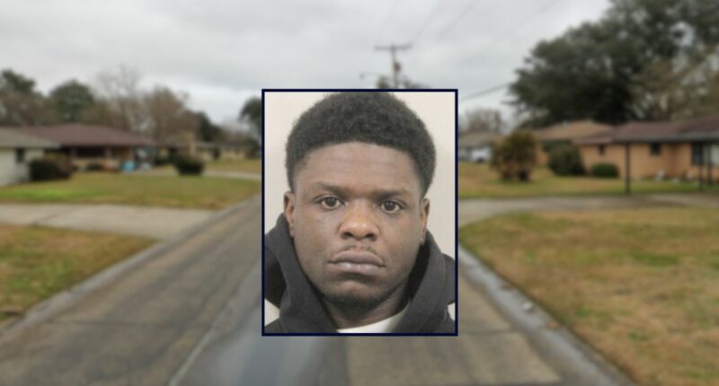 'She followed the vehicle': Man shot 2-year-old in the head as child's mother chased him down for driving her stolen car, police say