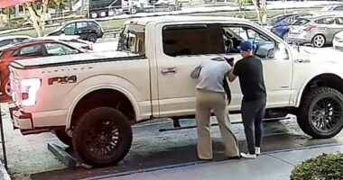 Shocking video shows woman 'abducted in broad daylight' in Florida