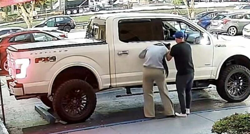 Shocking video shows woman 'abducted in broad daylight' in Florida