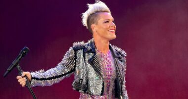 Singer Pink spends New Year's Eve in hospital