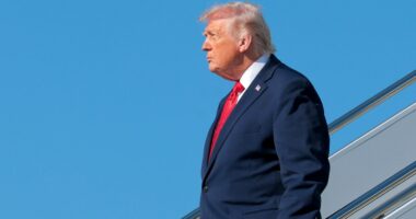 Six countries confirm US invitations to Gaza peace board