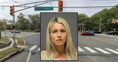 'Some measure of justice': Woman receives light sentence for multiple-car pileup that killed 2 after prosecutors fail to prove she drove while high on marijuana