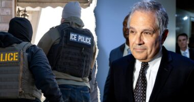 Soros-backed Philadelphia DA vows to 'hunt' down ICE agents: 'We will find you'