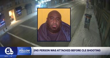 'Sorry to do this to you': Man targeted multiple women including shooting mom in face and dumping 1-year-old in snow while stealing car, cops say