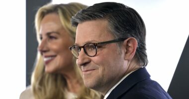 Speaker Johnson admits there will be a short government shutdown as Congress works to reconcile budget deal