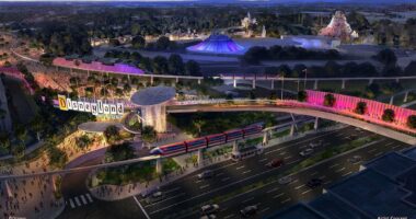 Speculation mounts that Disneyland could be adding third park