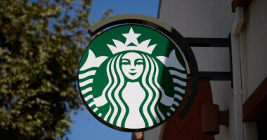 Starbucks exec was fired 'because she raised concerns about MAGGOTS'