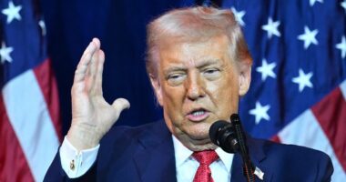 Starmer and Macron in extraordinary face-off with Trump over Greenland