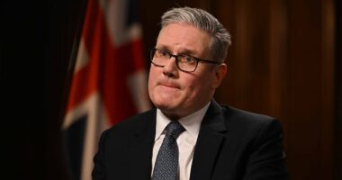 Starmer branded 'Peking's poodle': Backlash over China's mega embassy