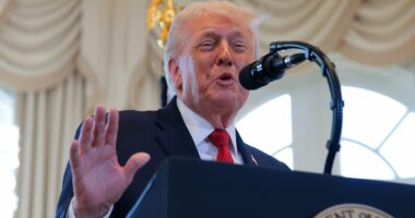 Starmer has spoken to Trump about his 'gangster' threats on Greenland