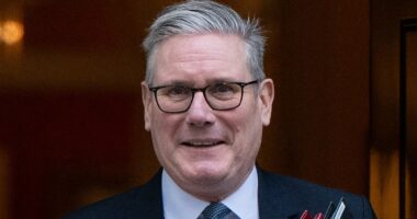 Starmer launches bid to persuade Trump that NATO can defend Arctic