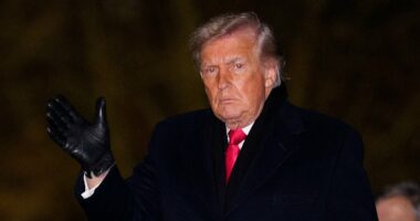 Stock markets tumble and gold and silver soar as Trump steps up efforts to seize Greenland