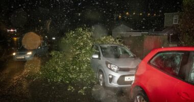 Storm Goretti batters Britain: Airport is forced to close its runway