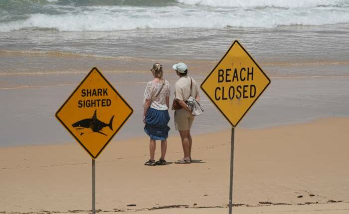 Surfer bitten in 4th shark attack off Australia's east coast in 3 days